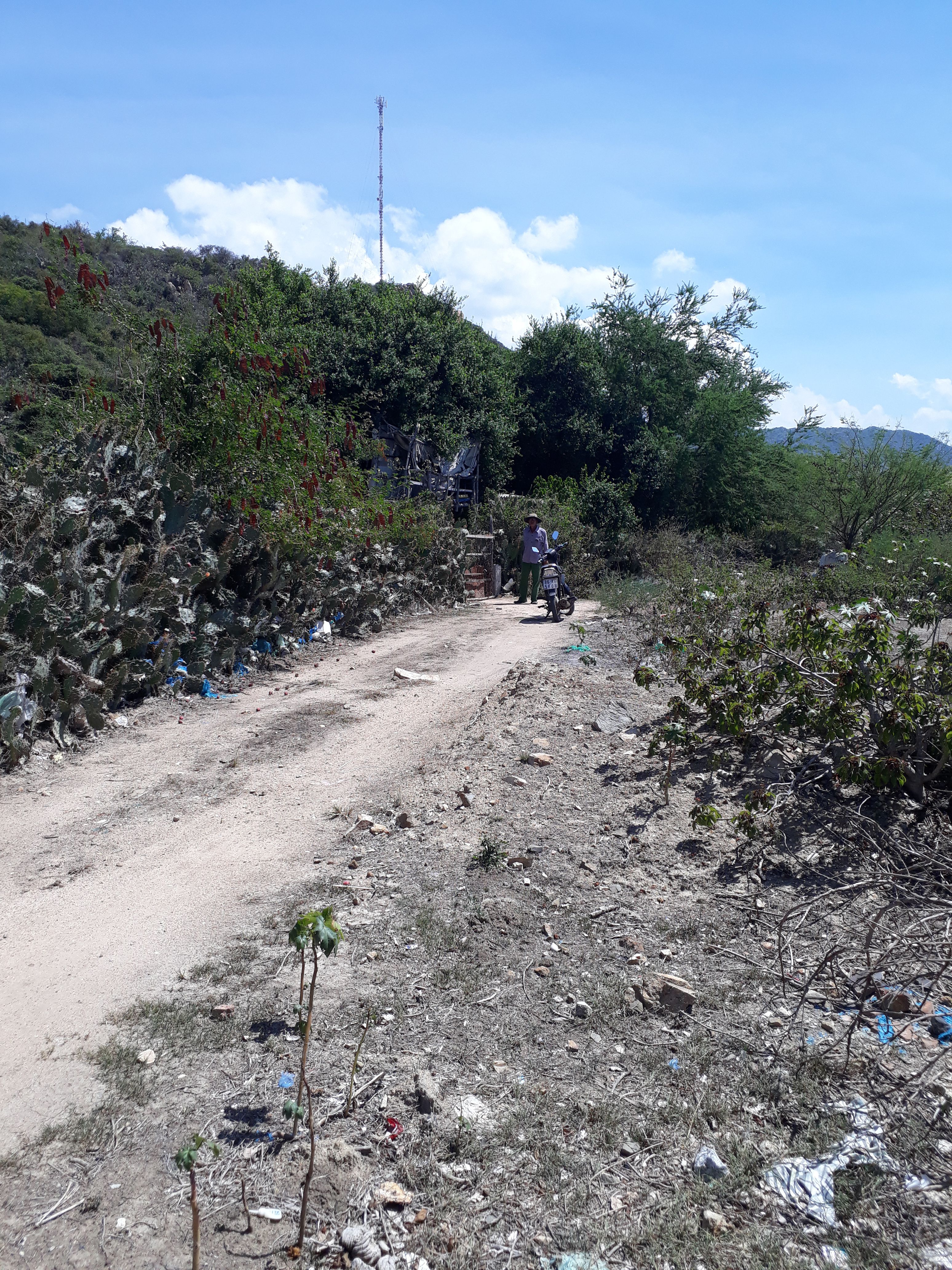 Đường v&agrave;o trang trại nu&ocirc;i cừu &ocirc;ng Trần Kim Lương