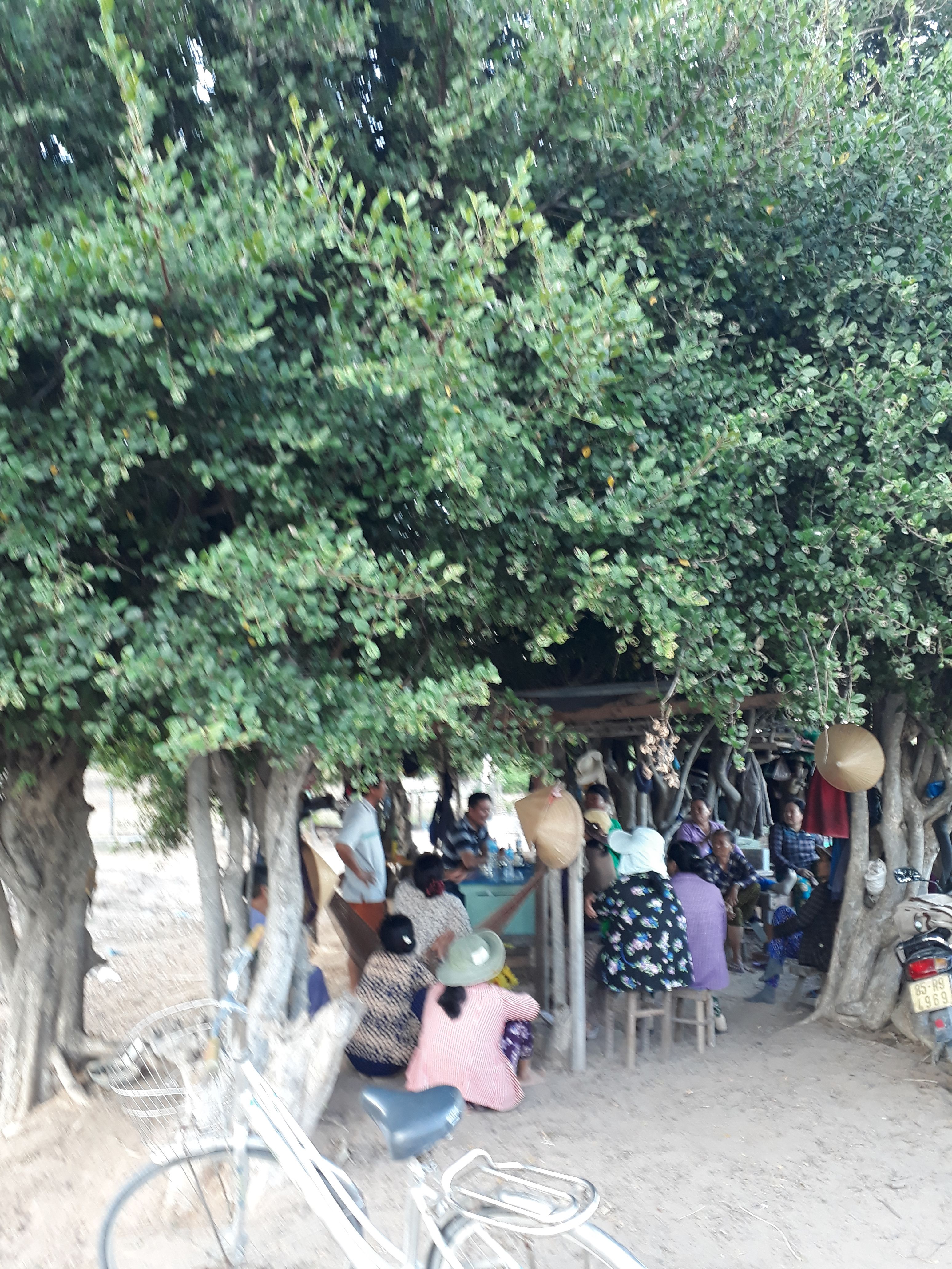 Khu nghỉ m&aacute;t trong trang trại chăn nu&ocirc;i của &ocirc;ng Trần Kim Lương nơi đất đang tranh chấp