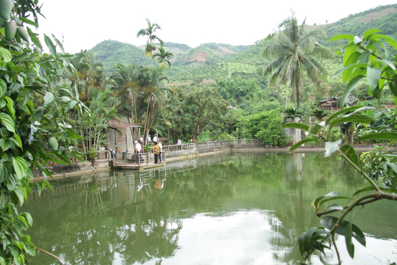 M&ocirc; h&igrave;nh l&agrave;m kinh tế giỏi của b&agrave; B&ugrave;i Thị Mười, NCT huyện Y&ecirc;n Ch&acirc;u