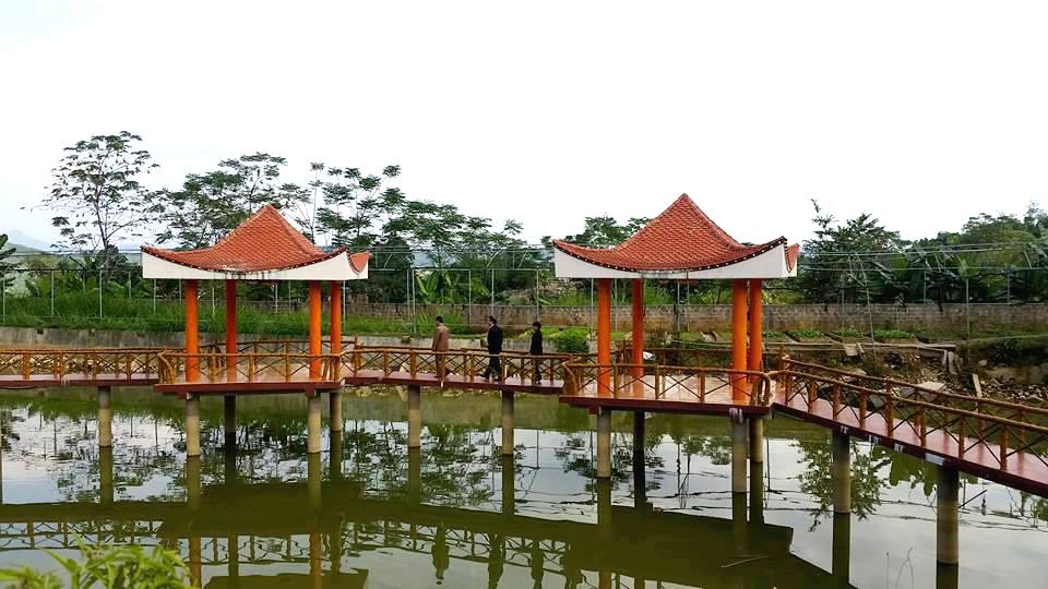 M&ocirc; h&igrave;nh NCT l&agrave;m kinh tế giỏi tỉnh Y&ecirc;n B&aacute;i