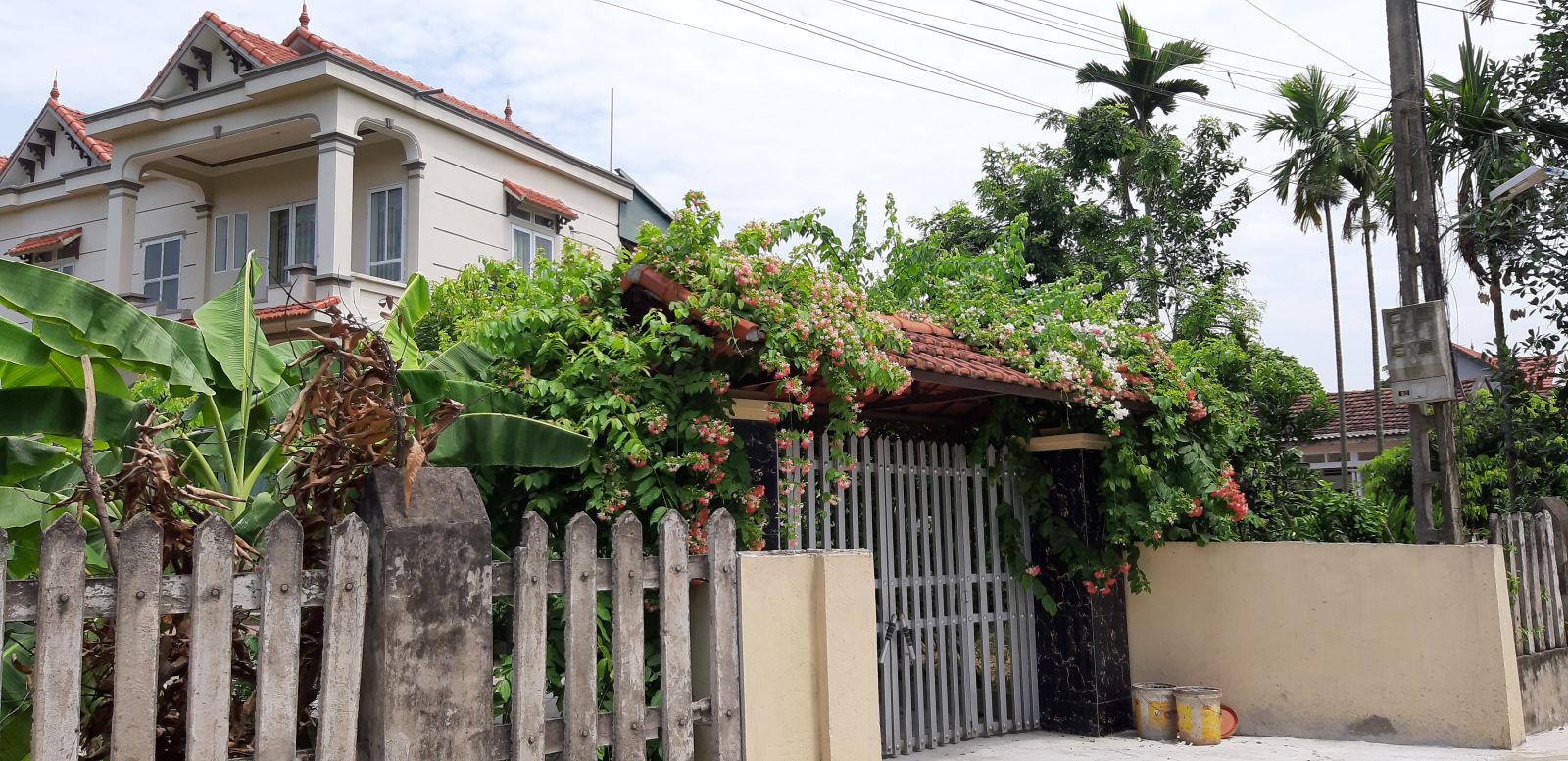 Rời phố về quê