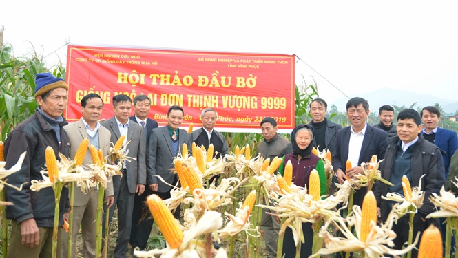Ng&ocirc; Thịnh Vượng 9999 gi&uacute;p n&ocirc;ng d&acirc;n ng&agrave;y c&agrave;ng sung t&uacute;c