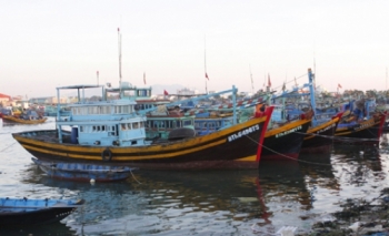 Tàu cá '67' nằm bờ, hoạt động thua lỗ, cầm chừng