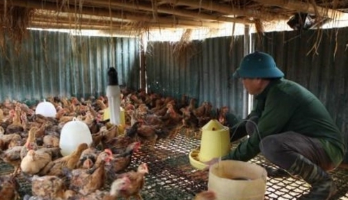 Vai trò của NCT ở bản biên giới Mường Và