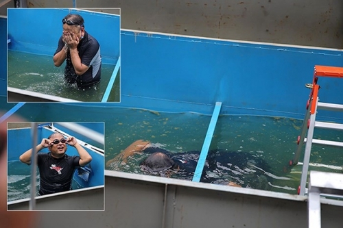 Chuyên gia Nhật bơi lặn trong bể thử nghiệm làm sạch sông Tô Lịch