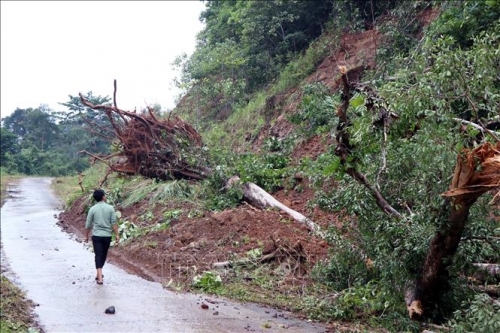 Khu vực Tây Nguyên, Nam Bộ theo dõi chặt chẽ diễn biến mưa, lũ để chủ động ứng phó