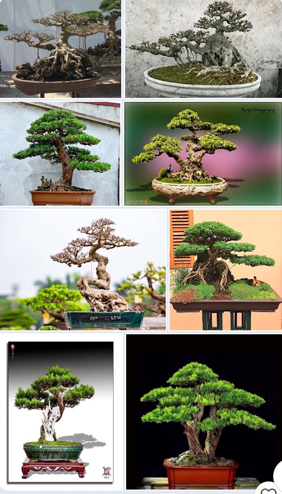 Tỉnh Thanh Hóa: Tổ chức triển lãm tư liệu ảnh Bác Hồ với Sầm Sơn