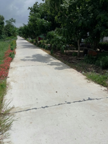 Huyện Đông Hải, tỉnh Bạc Liêu: Phấn đấu có thêm 2 xã đạt chuẩn Nông thôn mới