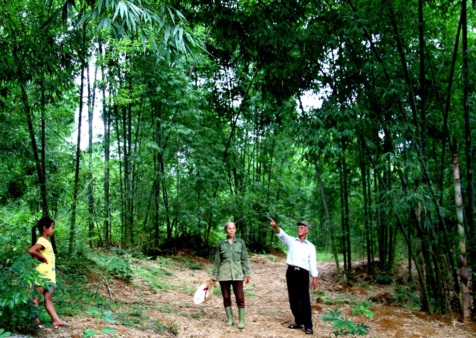 M&ocirc; h&igrave;nh l&agrave;m kinh tế giỏi của &ocirc;ng Nguyễn Văn Lương, x&atilde; Điền Trung, huyện B&aacute; Thước.