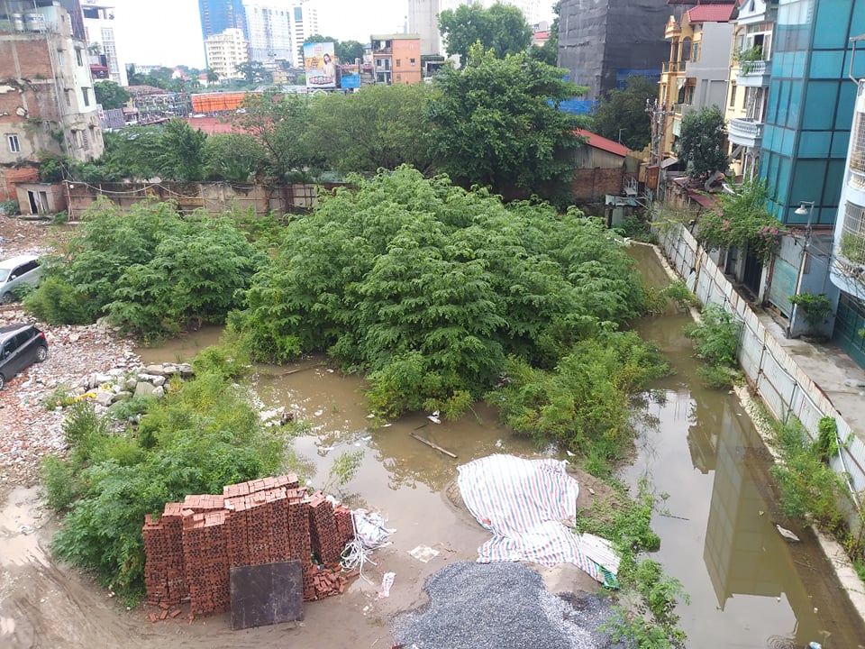 Nước tụ đọng trong dự &aacute;n khiến muỗi c&oacute; cơ hội sinh s&ocirc;i, g&acirc;y ảnh hưởng đến đời sống người d&acirc;n xung quanh