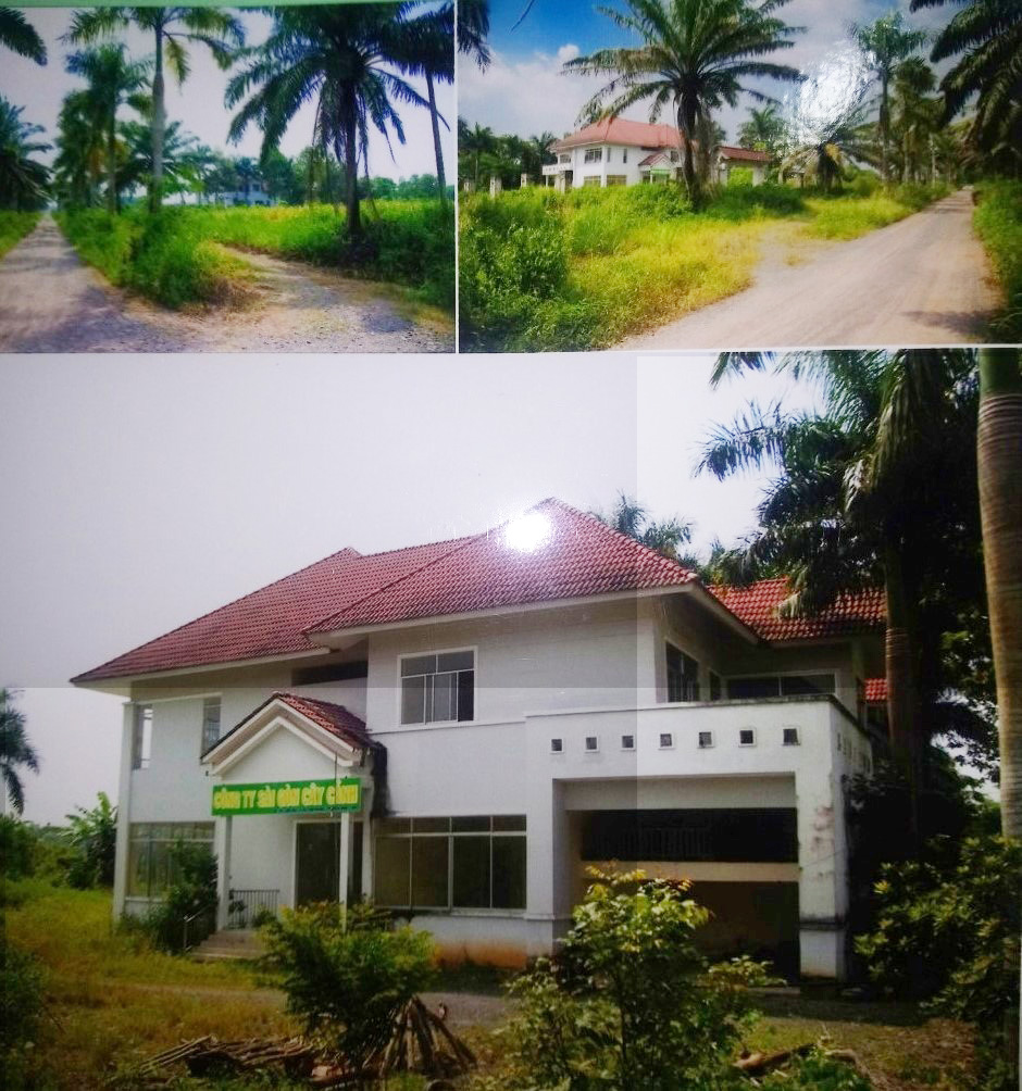  Tỉnh Đồng Nai: Vụ án có nhiều tình tiết kì lạ!      