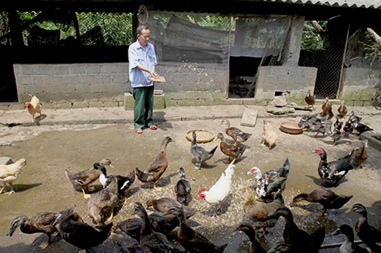 M&ocirc; h&igrave;nh l&agrave;m kinh tế giỏi của NCT tỉnh Lai Ch&acirc;u. Ảnh IT