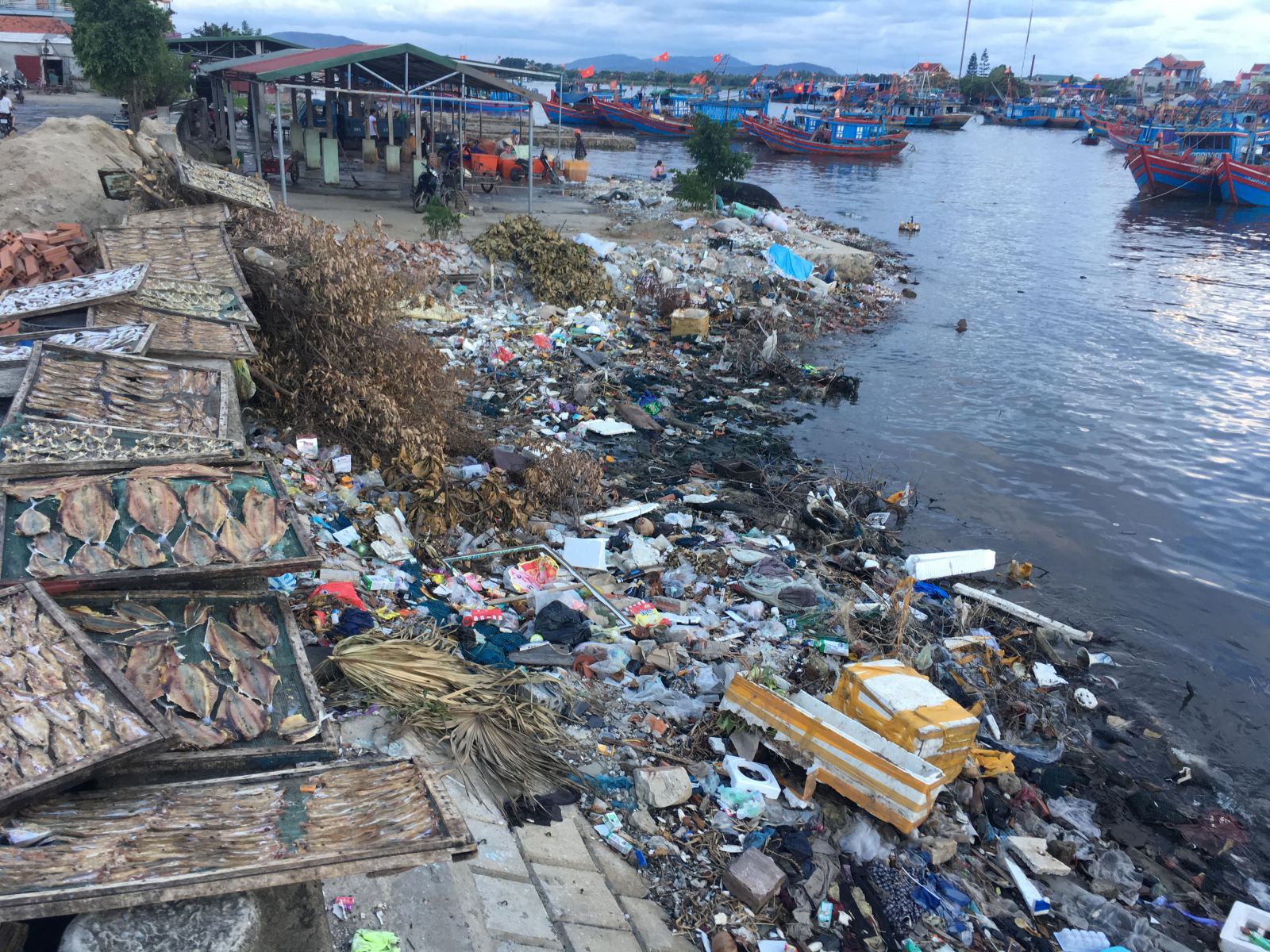 Xã Hải Bình, huyện Tĩnh Gia: Hàng nghìn người dọn rác trên bờ đê khu vực cảng Lạch Bạng