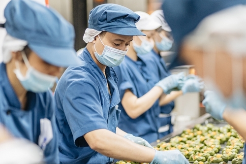 Bánh Trung thu cao cấp VinMart Cook được sản xuất kỳ công như thế nào?