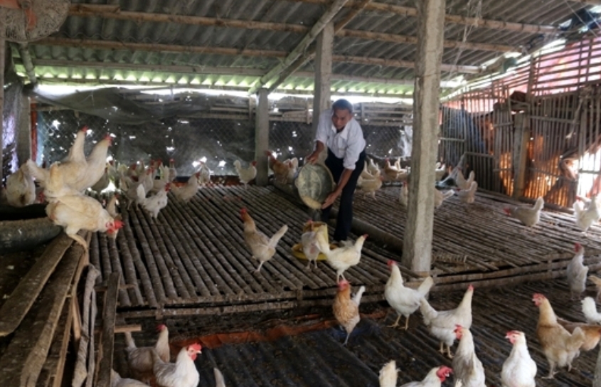 M&ocirc; h&igrave;nh l&agrave;m kinh tế giỏi của NCT huyện H&agrave; Trung