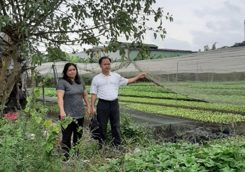Chi Cục THADS huyện Củ Chi, TP Hồ Chí Minh: Tổ chức bán đấu giá khi tài sản không còn là tài sản để thi hành án(!?)