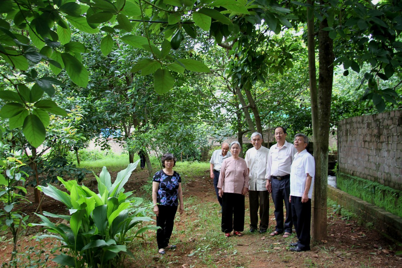 &Ocirc;ng H&ograve;a trong một lần đi thăm m&ocirc; h&igrave;nh NCT l&agrave;m kinh tế giỏi