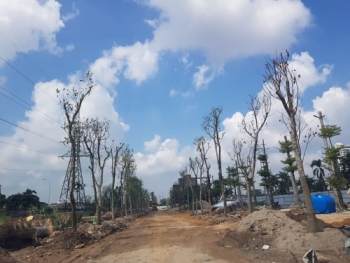 Hải Phòng: Người dân tố “loạn dự án” trong khi vẫn ra quyết định cưỡng chế thu hồi đất?