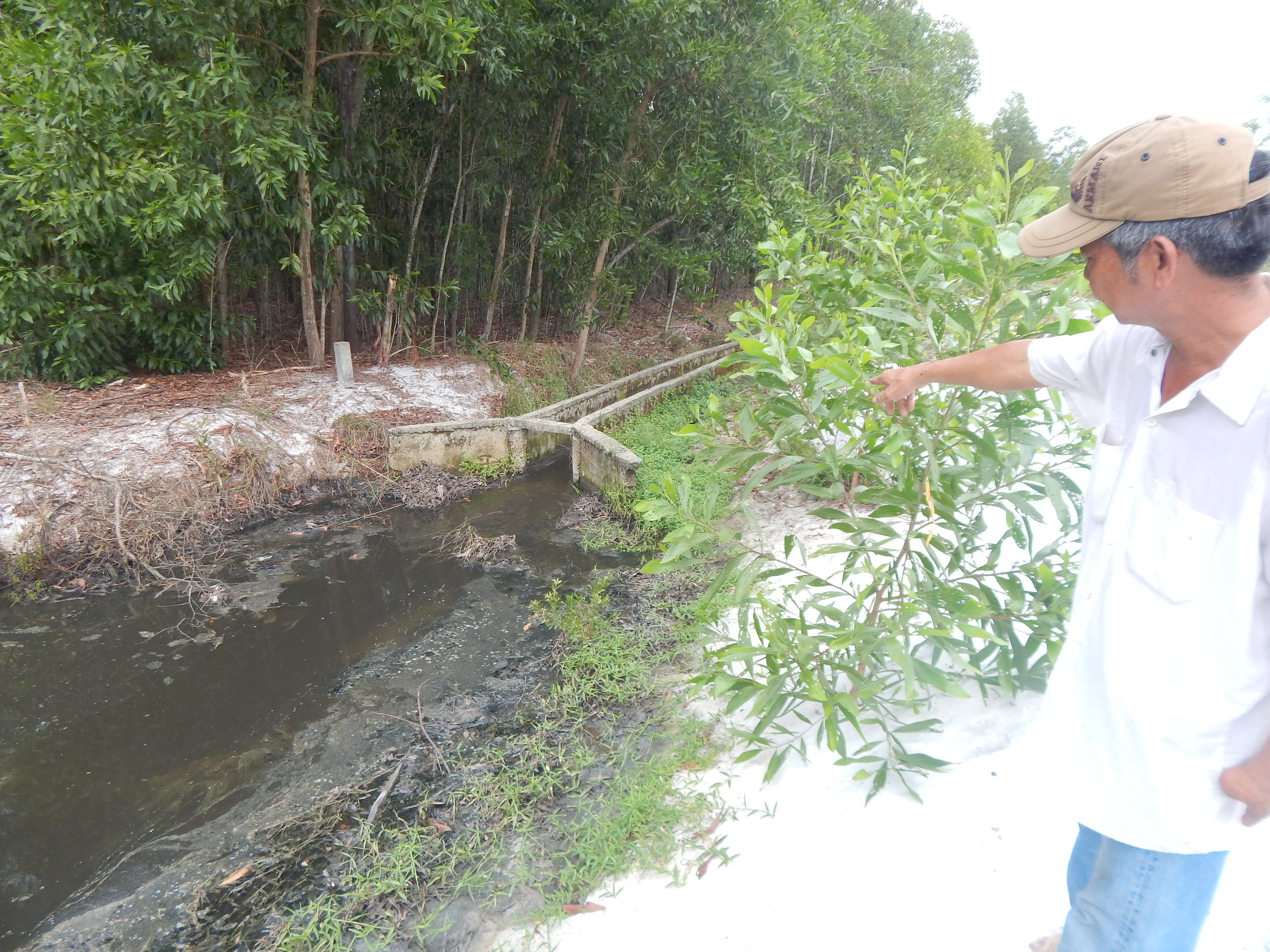 Mương nước dẫn nước thải cỉa n&agrave;h m&aacute;y tinh bột sắn Thừa Thi&ecirc;n Huế chưa qua xử l&yacute; thải trực tiếp ra m&ocirc;i trường