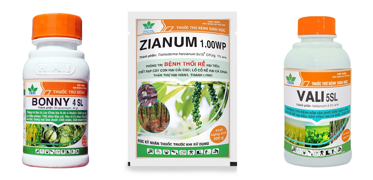 3 loại thuốc ph&ograve;ng trị bệnh hiệu quả