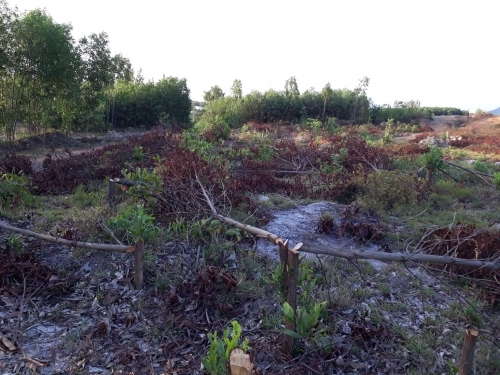 Công an thị xã Kỳ Anh, tỉnh Hà Tĩnh: Không khởi tố vụ án hủy hoại tài sản là coi thường pháp luật