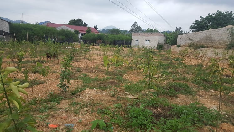 Khu đất nh&agrave; &ocirc;ng Đinh B&aacute; Sơn bị &ocirc;ng B&ugrave;i Văn Lin v&agrave; Ho&agrave;ng Văn L&ocirc; tự &yacute; tr&egrave;o tường v&agrave;o đo vẽ