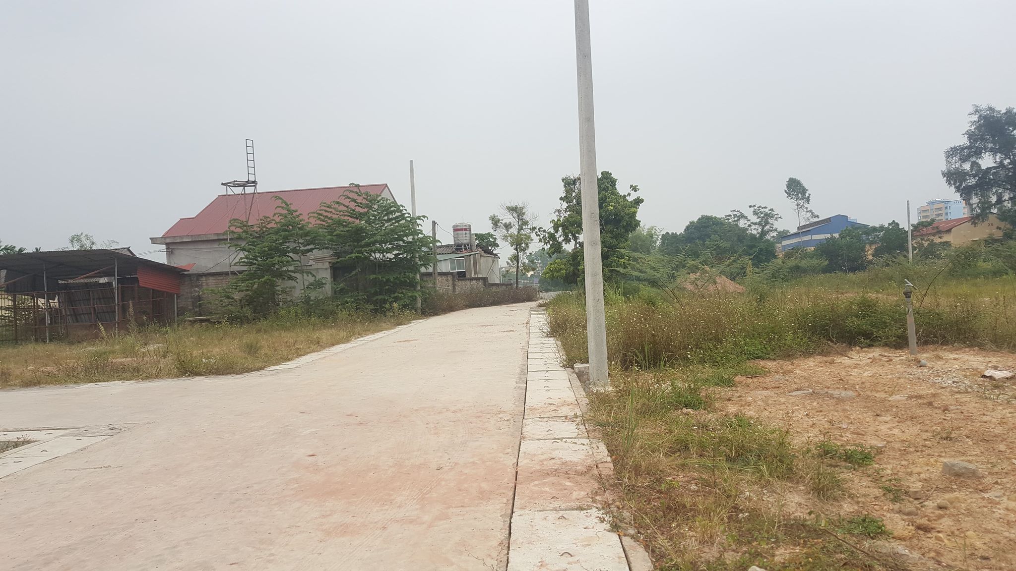 Việc ph&acirc;n l&ocirc;... b&aacute;n nền tại tổ 17, phường Thịnh Đ&aacute;n