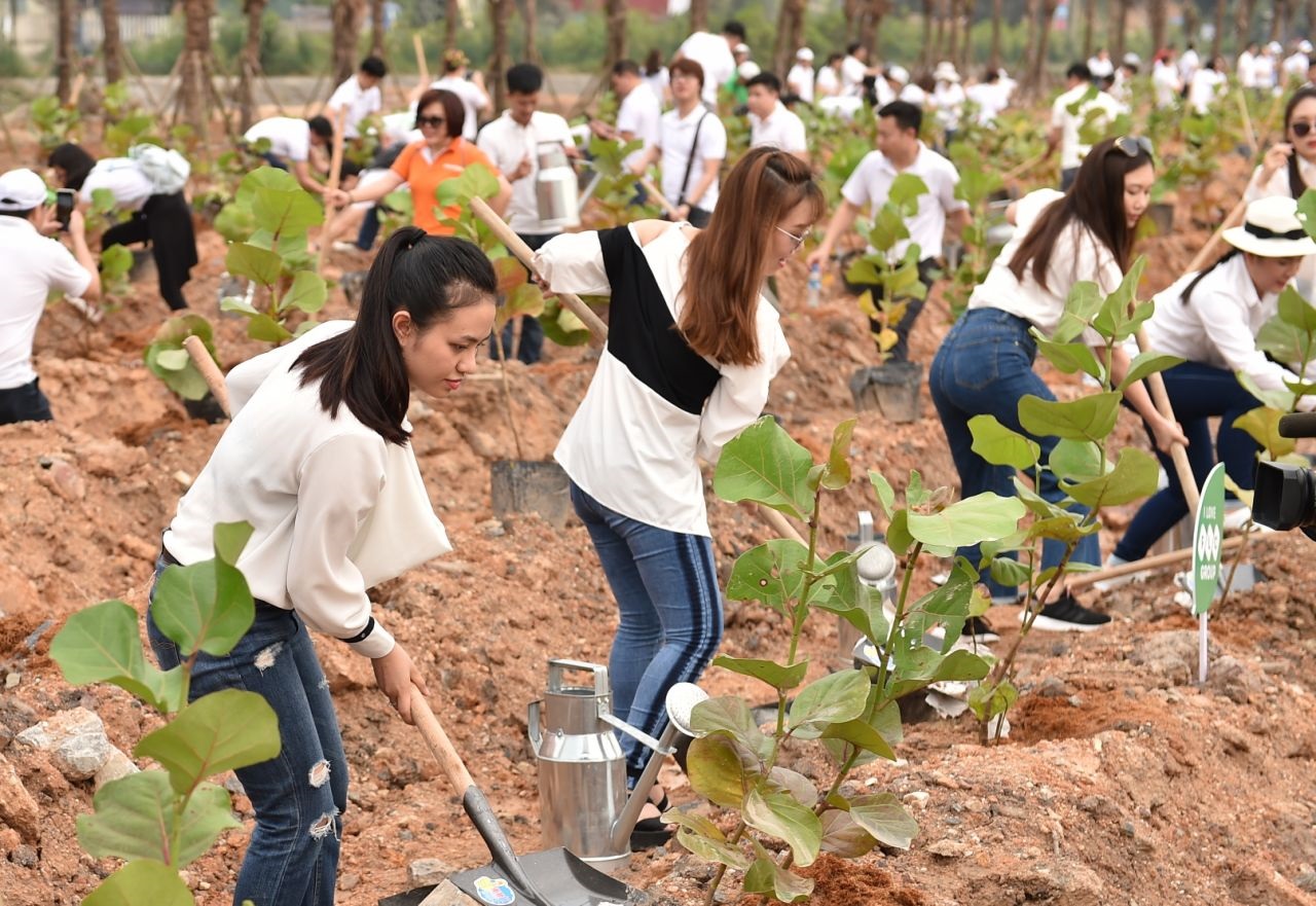 Phong tr&agrave;o Go Green được ph&aacute;t động tr&ecirc;n to&agrave;n hệ thống FLC