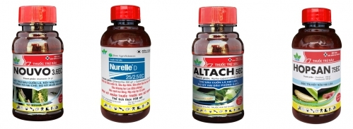 “Giải cứu” cây mè khi bị rệp muội đen tấn công