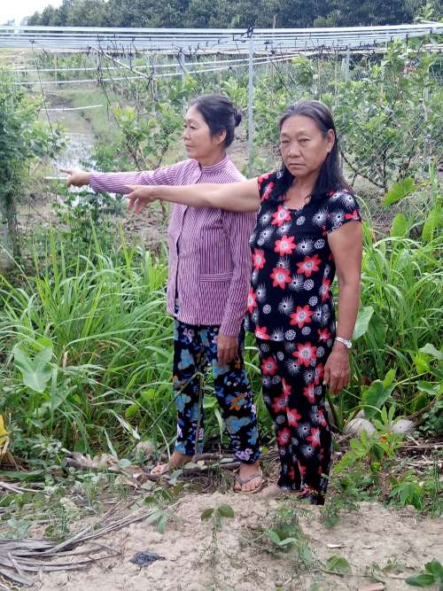 B&agrave; Nguyễn Trọng Nghĩa (b&ecirc;n phải) v&agrave; b&agrave; Nguyễn Hồng Lực l&agrave; em ruột của &ocirc;ng Nguyễn Minh Đức, chỉ phần đất tranh chấp.