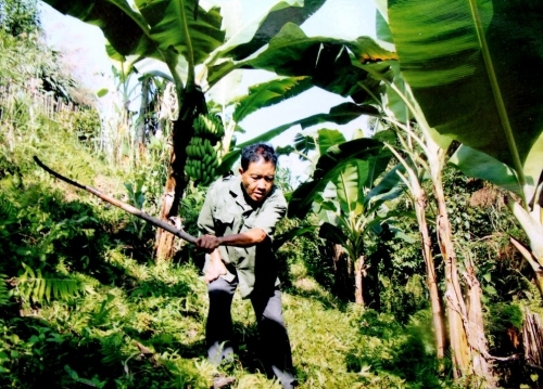 NCT tỉnh Thừa Thiên Huế: Khai thác lợi thế nông lâm nghiệp để làm giàu chính đáng