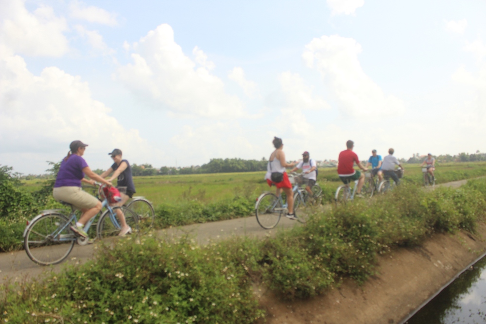 Kh&aacute;ch du lịch nước ngo&agrave;i đạp xe quanh những c&aacute;nh đồng Hội An