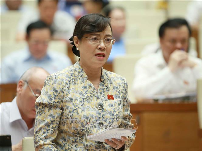 Đại biểu Quốc hội TP Hồ Ch&iacute; Minh Nguyễn Thị Quyết T&acirc;m ph&aacute;t biểu &yacute; kiến. Ảnh: Do&atilde;n Tấn/TTXVN