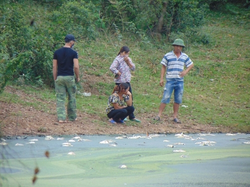 Phú Thọ: Người dân bức xúc vì Tập đoàn Hòa Phát không đối thoại khi gây ô nhiễm môi trường nghiêm trọng.
