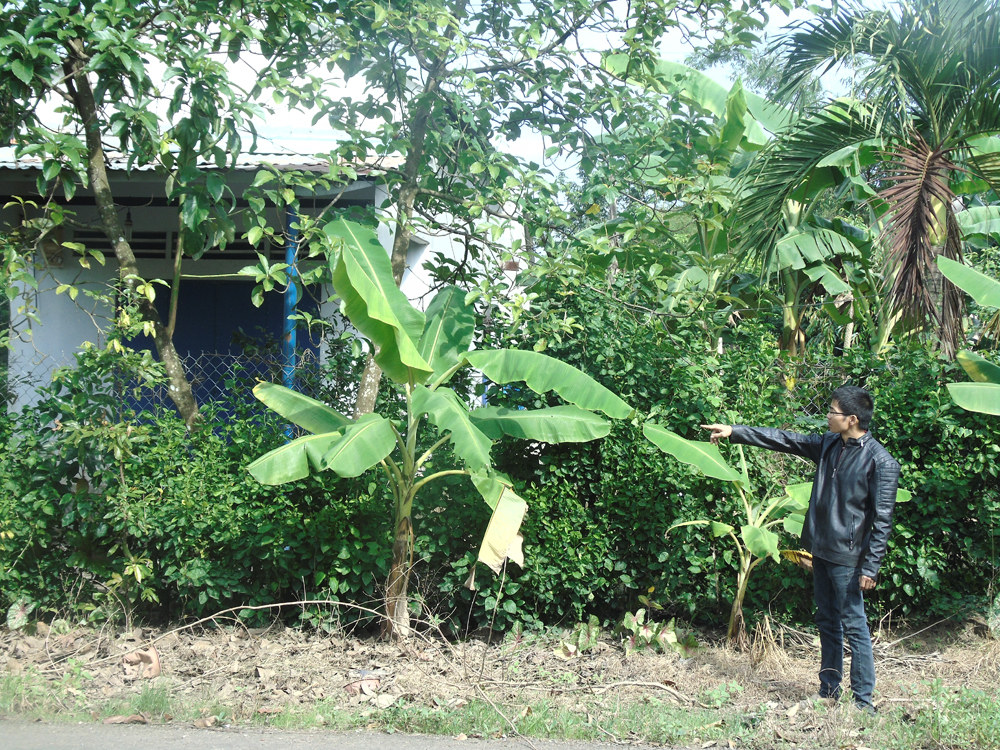 Con trai b&agrave; H&agrave; Thị Li&ecirc;n chỉ cho ph&oacute;ng vi&ecirc;n phần đất tranh chấp đ&atilde; bị &ocirc;ng Minh b&aacute;n cho 2 hộ kh&aacute;c x&acirc;y nh&agrave;.