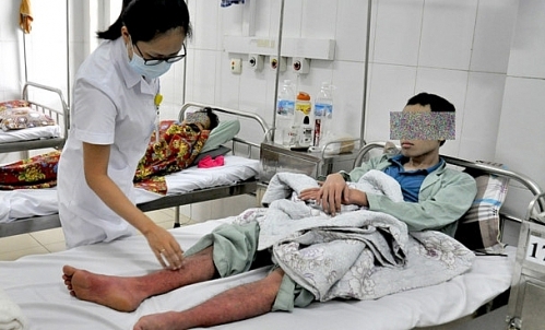 Hà Nội: 5.305 trường hợp mắc sốt xuất huyết