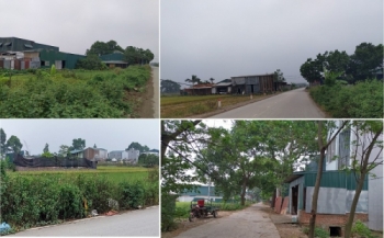 Huyện Thạch Thất, Hà Nội: Bao giờ cưỡng chế những nhà xưởng sản xuất trái phép trên đất nông nghiệp?