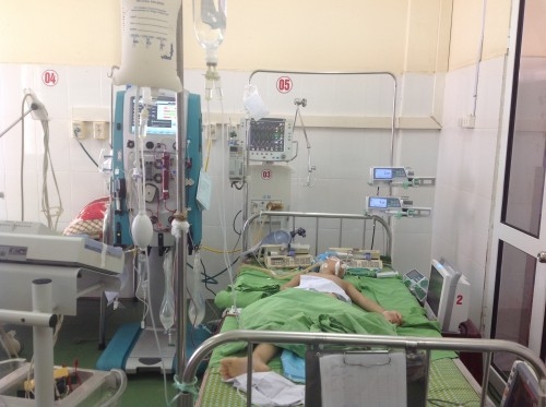 Viêm cơ tim cũng có thể do chính hệ miễn dịch tấn công gây ra