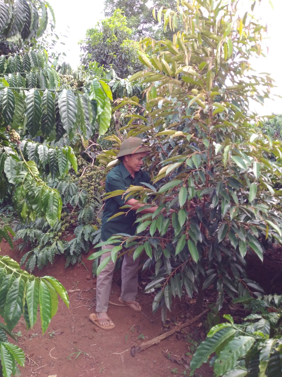 Vượt lên chính mình