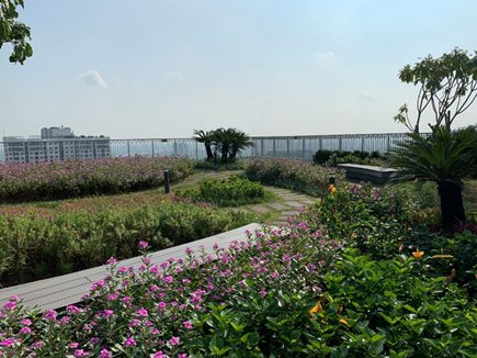 Vườn ch&acirc;n m&acirc;y cũng đ&atilde; l&ecirc;n h&igrave;nh. Những băng ghế d&agrave;i rộng giữa khu vườn hoa t&iacute;m biếc sẽ l&agrave; nơi nghỉ ch&acirc;n, thư gi&atilde;n thơ mộng v&agrave; l&atilde;ng mạn của cộng đồng cư d&acirc;n đẳng cấp Imperia Sky Garden.