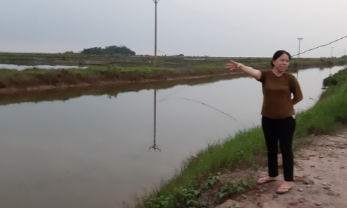 Dự án Cao tốc Vân Đồn - Móng Cái, tỉnh Quảng Ninh: Dân thiệt hại do bồi thường và cưỡng chế trái luật