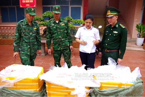 Lạng Sơn: Thu giữ, tiêu hủy 460kg nầm lợn nhập lậu