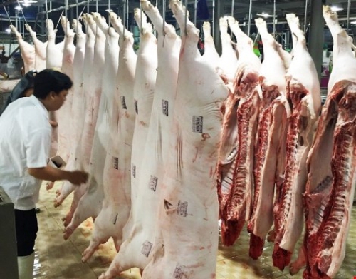 Bảo đảm nguồn cung thịt lợn dịp Tết Nguyên đán 2020