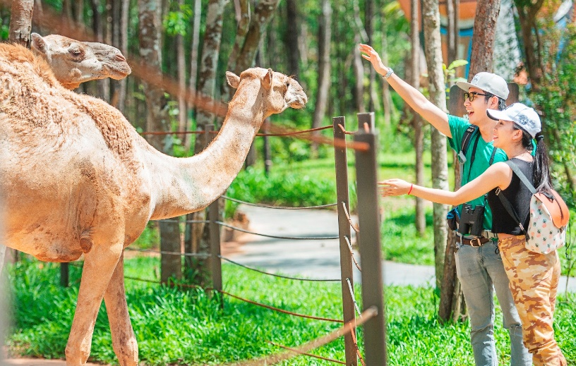 Cộng đồng mạng phỏng đoán nơi Đông Nhi và Ông Cao Thắng trao nhẫn cưới