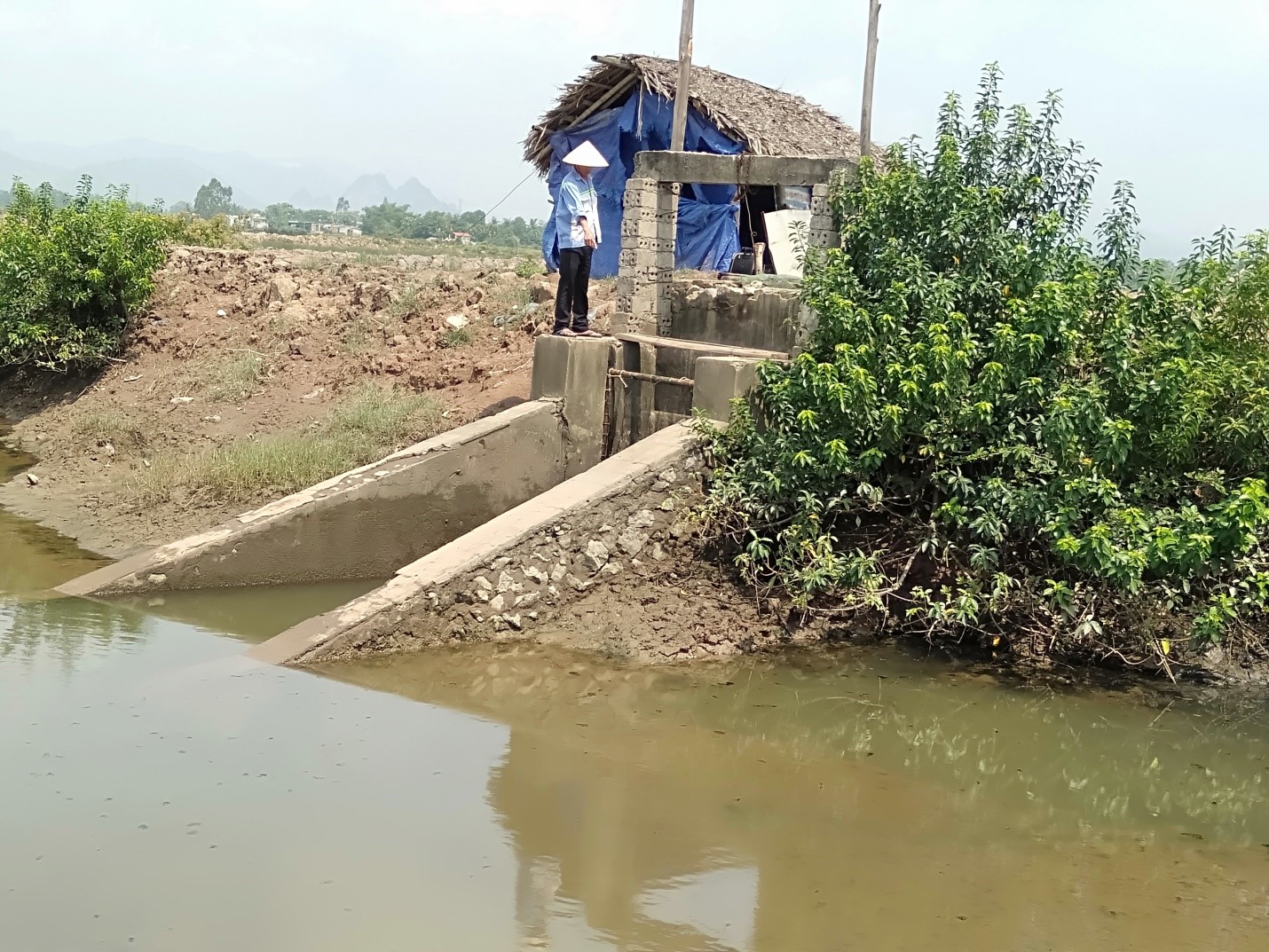 Người d&acirc;n tố một số l&atilde;nh đạo x&atilde; T&acirc;n Trường c&oacute; dấu hiệu