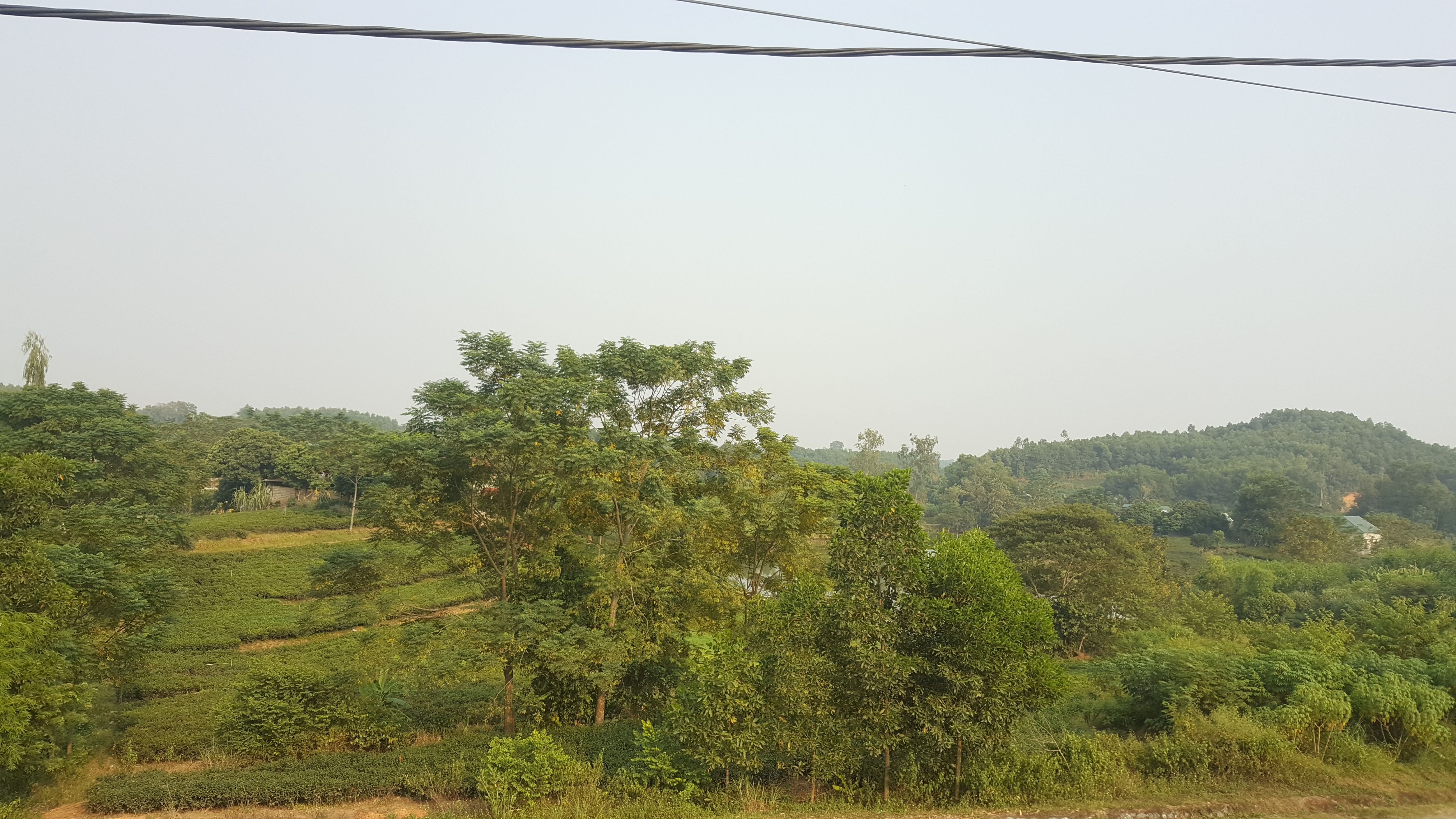 Khu vực rừng m&agrave; C&ocirc;ng ty Trường An đề xuất đầu tư s&acirc;n golf