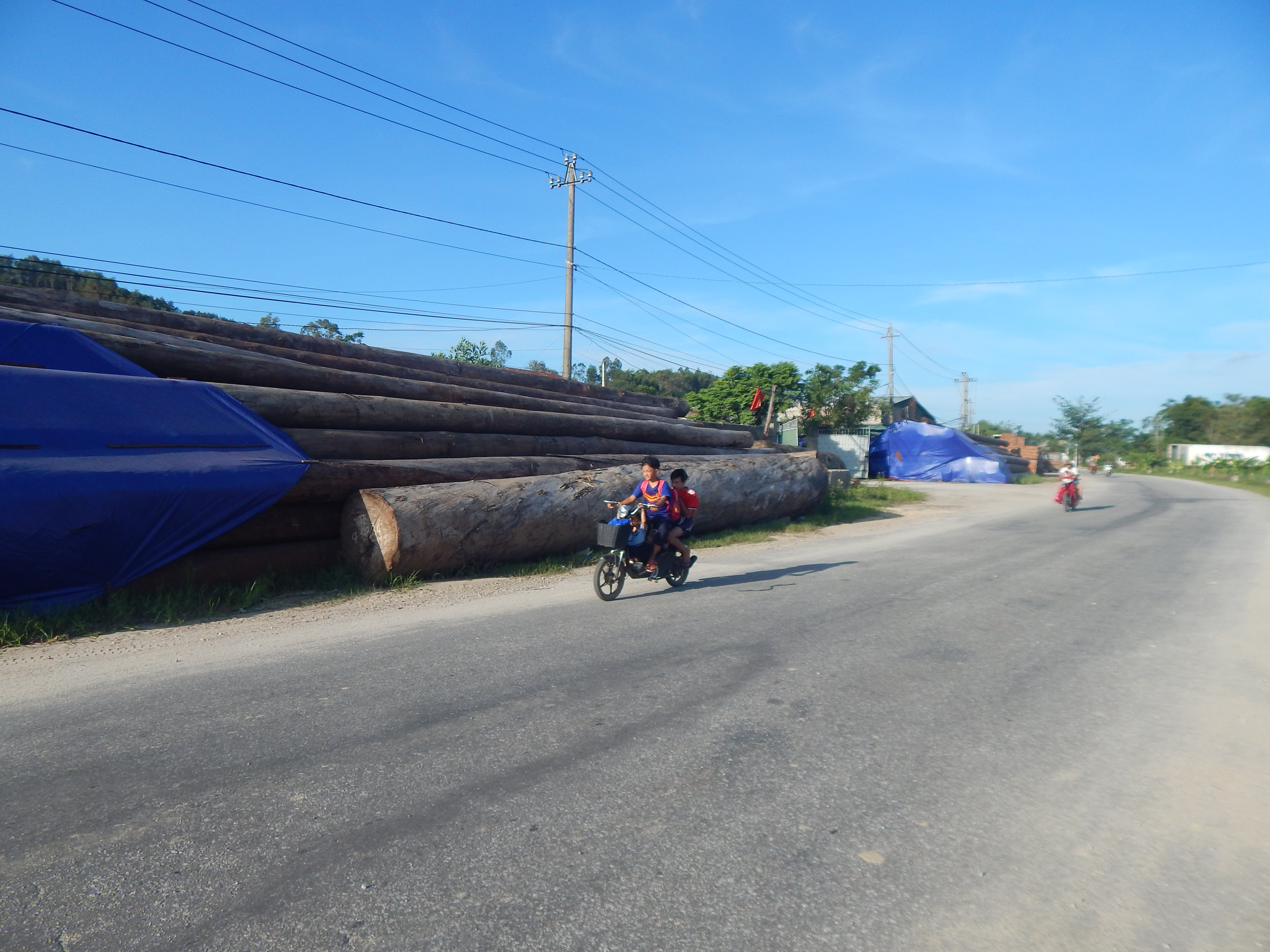 Những b&atilde;i tập kết gỗ lớn nằm s&aacute;t đường Tỉnh lộ 12B, dưới h&agrave;nh lang an toan lưới điện 22kv khiến người d&acirc;n hoang mang.