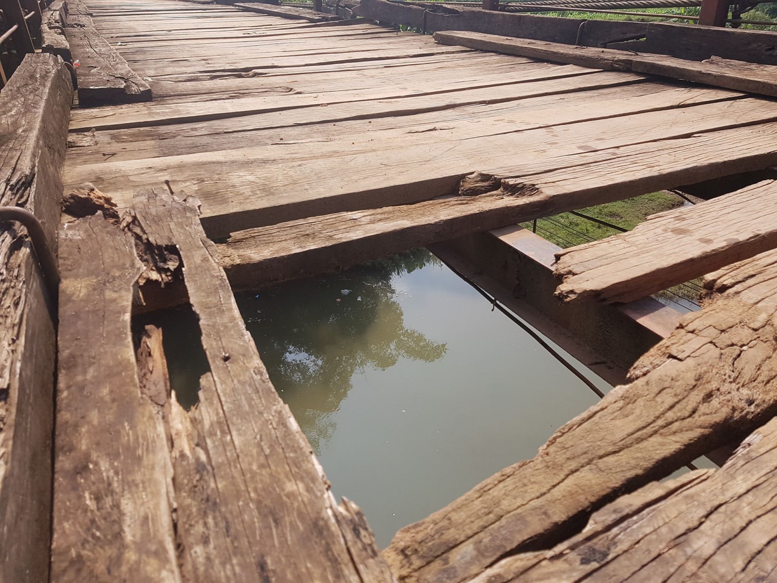 Những lỗ thủng do c&aacute;c miếng v&aacute;n gỗ bị mục n&aacute;t c&oacute; thể