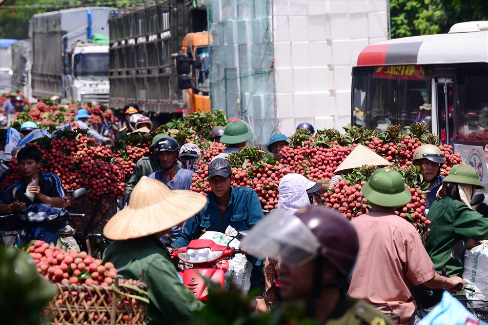 Tắc đường thường xuy&ecirc;n xảy ra vào mùa vải thi&ecirc;̀u.