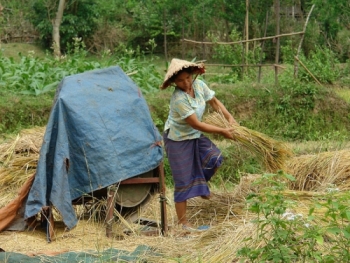 Tục chọn rẫy mới của người Vân Kiều
